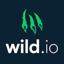 Wild.io Crypto Casino logo